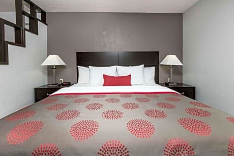1 King 1 Sofa Beds Suite