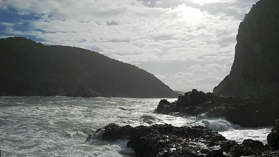 South Villa Guesthouse&Garden