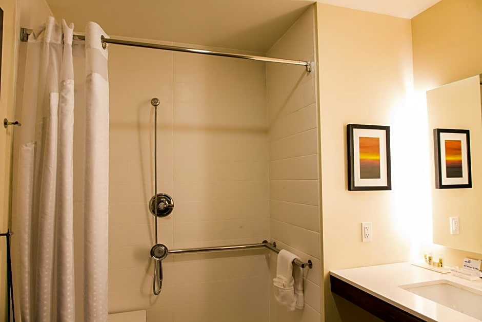 Holiday Inn Hotel & Suites - Mount Pleasant By IHG