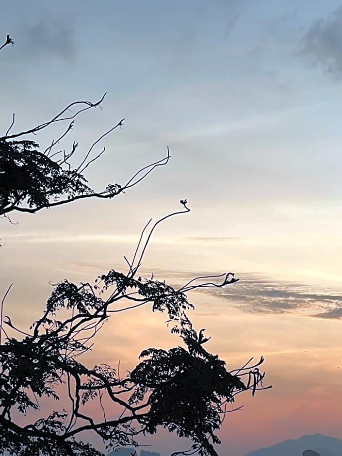 Hillhouse - Koh Yao Noi