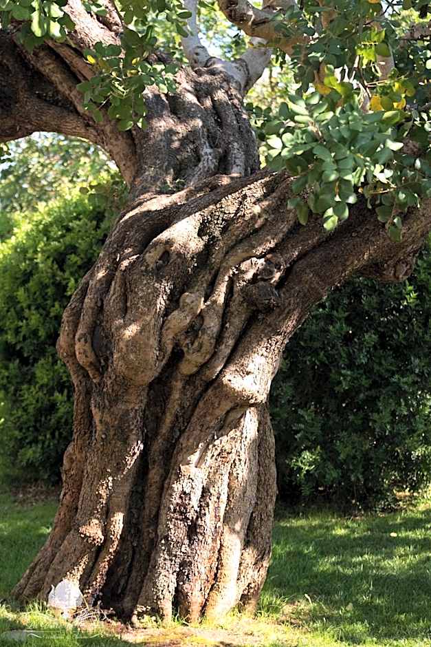 La Valle Del Cristallo Wellness & Charme