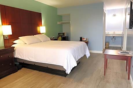 1 King Bed Accessible Smoking