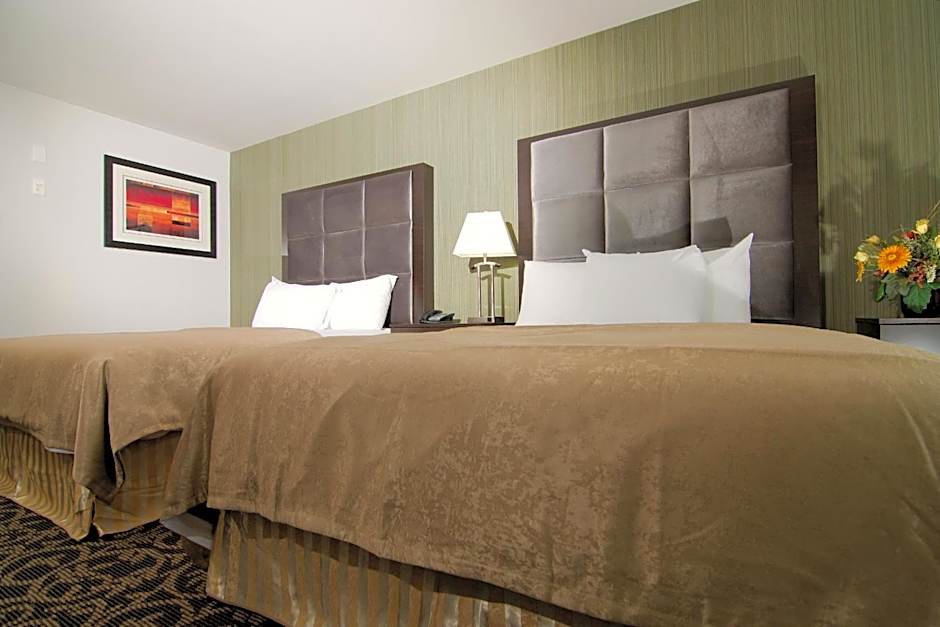 Paradise Inn and Suites Redwater