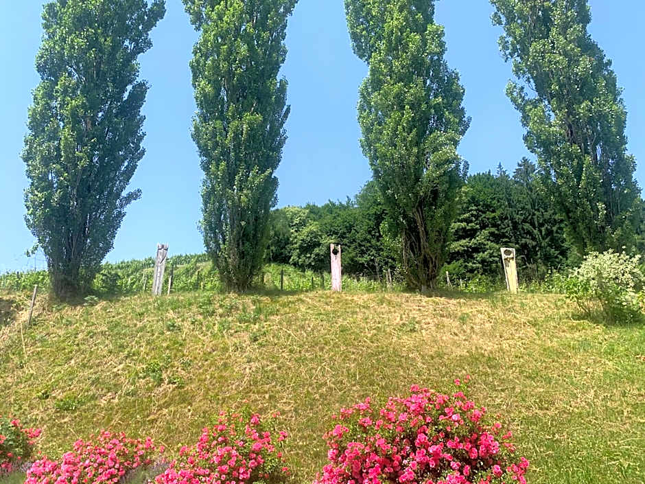 Koschak Wirt & Weinbauer