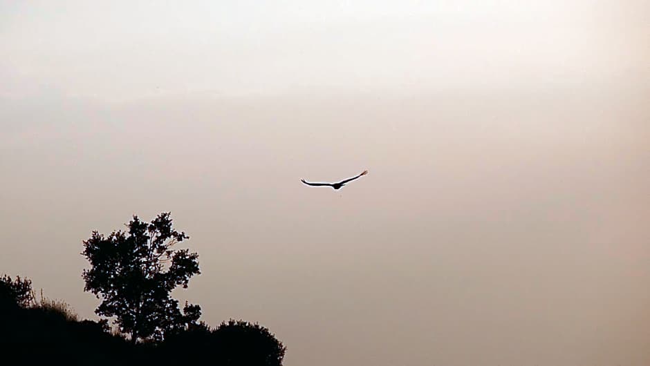 Hotel Cardamomo Sigüenza