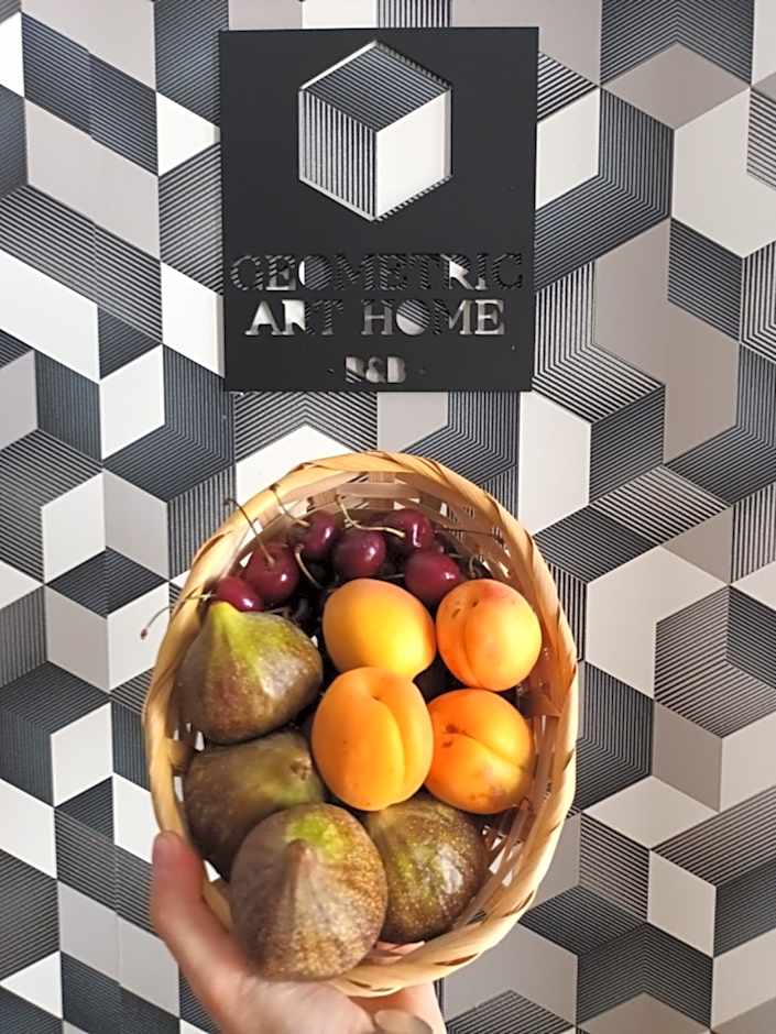 Geometric Art Home