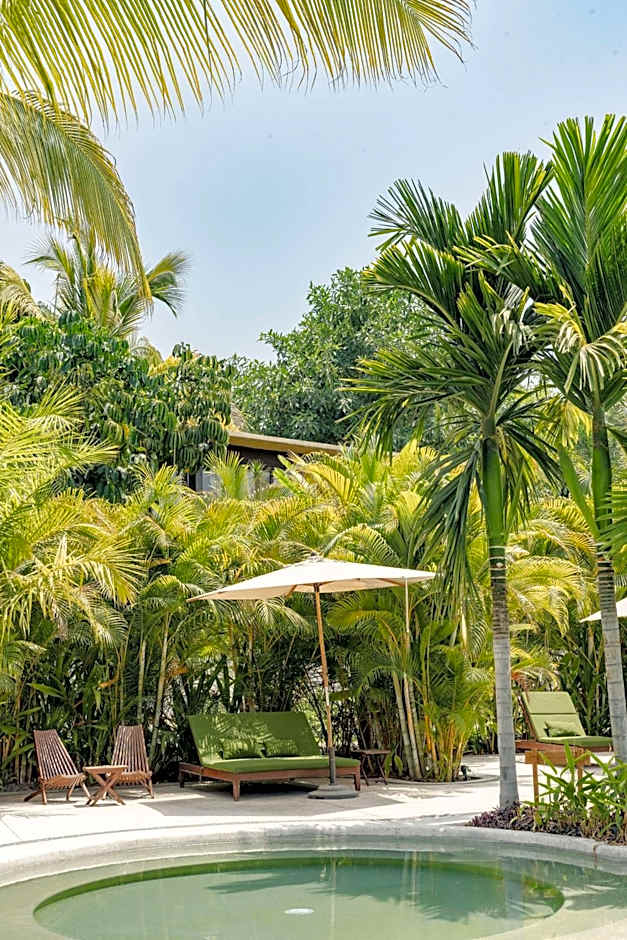 Soul Spring Sanctuary Cuernavaca