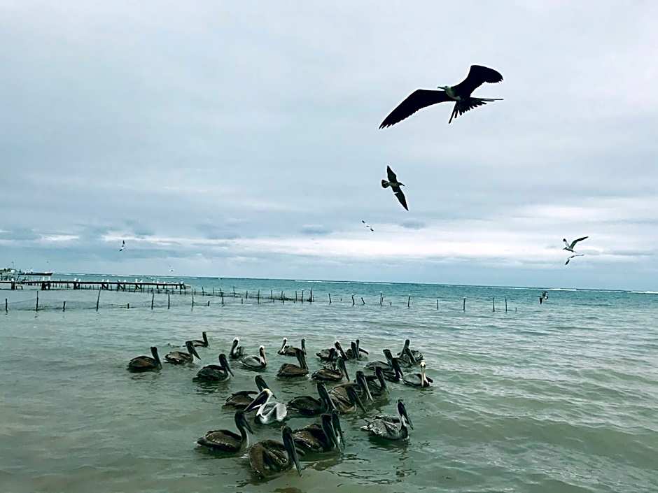 Hotel Luna De Plata Mahahual