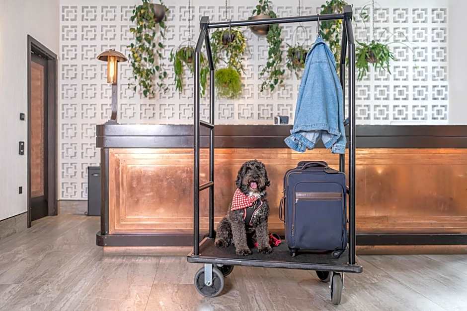 Hart Shoreditch Hotel London, Curio Collection by Hilton