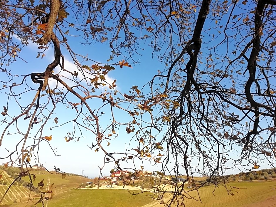 B&B Gli amici del tubarello