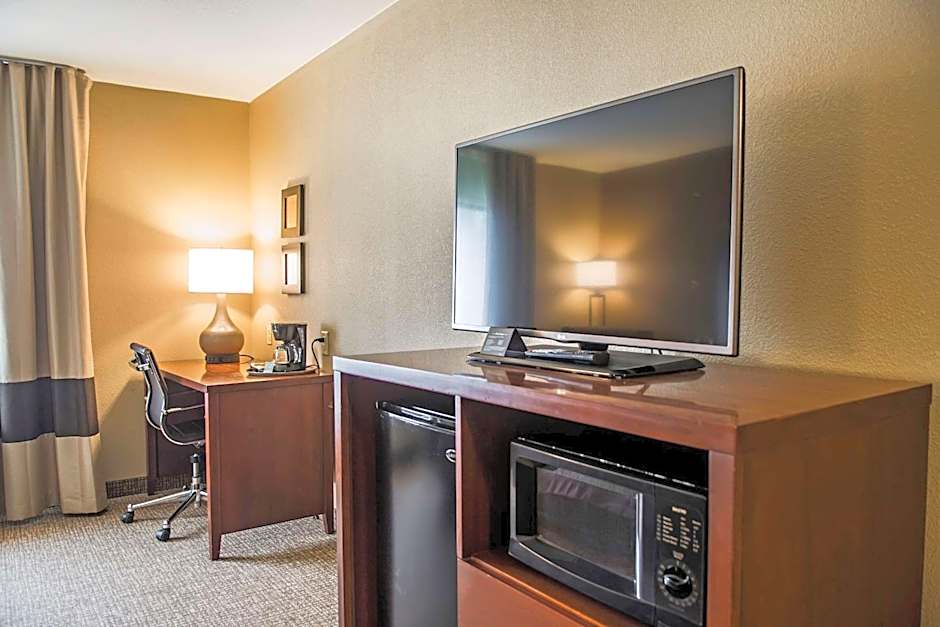 Comfort Inn Edinburg South