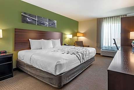 1 King Bed, Nonsmoking