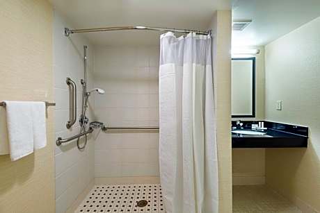 Suite, 1 Bedroom (1 King Bed and 1 Double Sofa Bed)