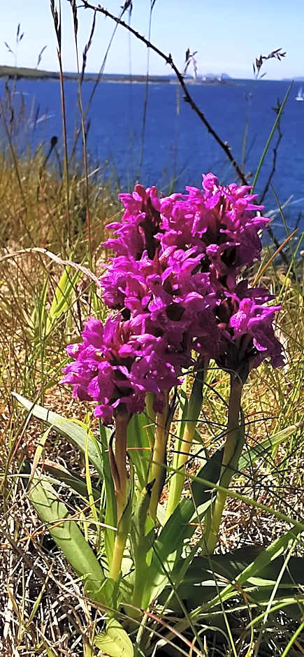 Horizon View Lodge Bed and Breakfast Glanleam Road Knightstown Valentia Island County Kerry V23 W447 Ireland