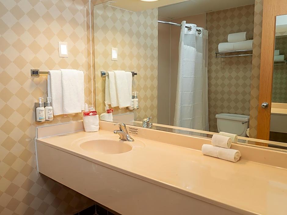 Holiday Inn Express Silao-Aeropuerto Bajio By IHG