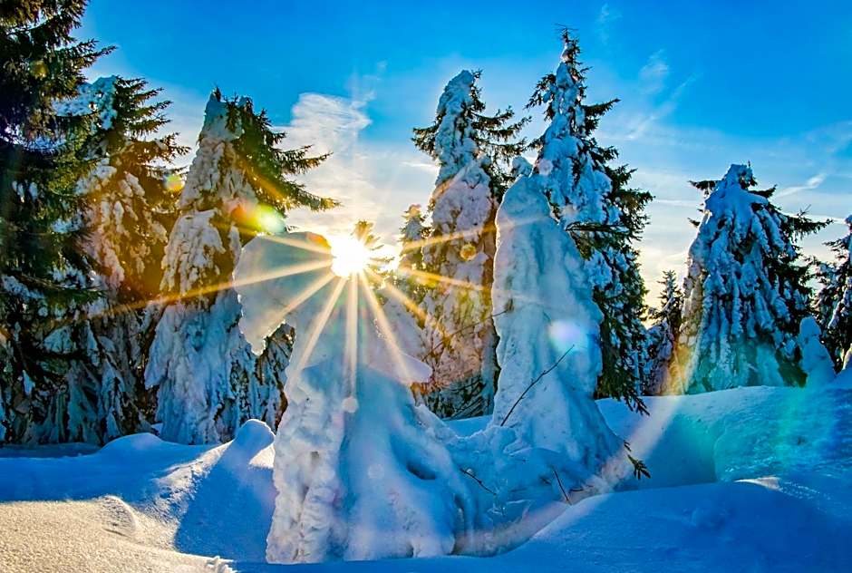 Aparthotel Klínovec Views