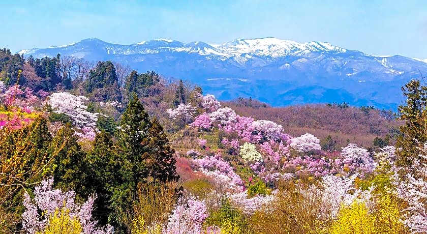 Toyoko Inn Fukushima-Eki Nishi-Guchi