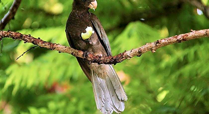 Coco Bay Guest House