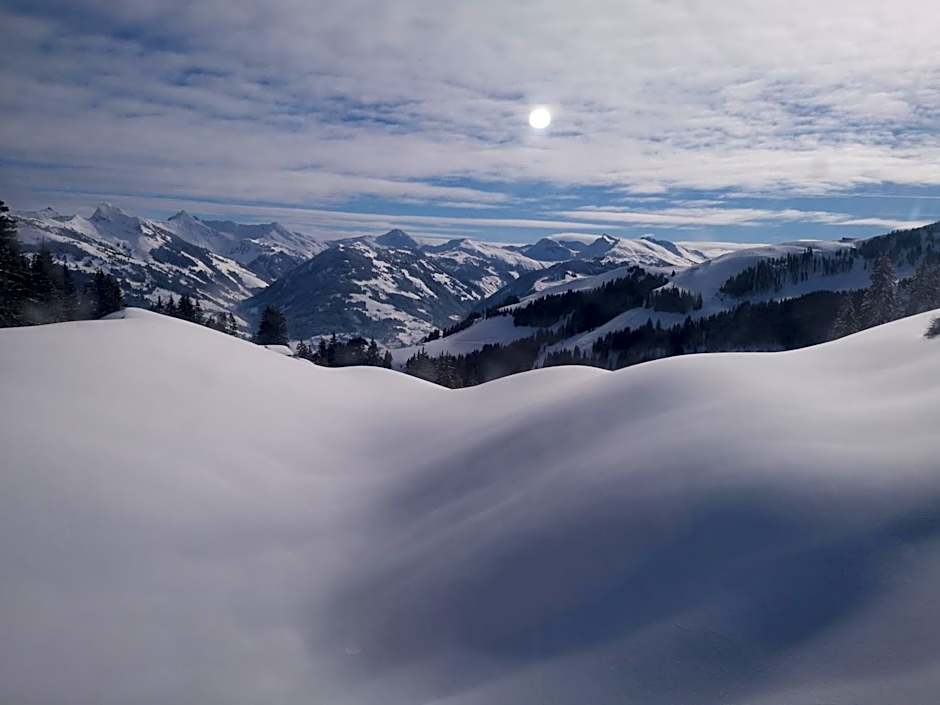 Hocheckhuette On Top of the Kitzbuehel Hahnenkamm Mountain