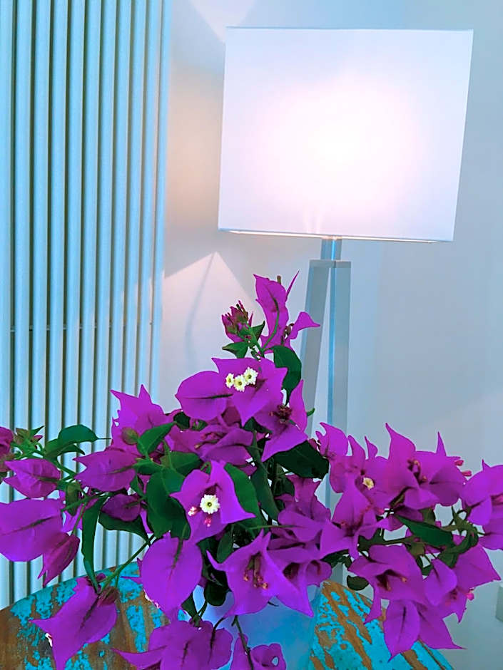 Agapanto Luxury Accommodation