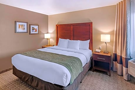 1 King Bed, Nonsmoking, Accessible