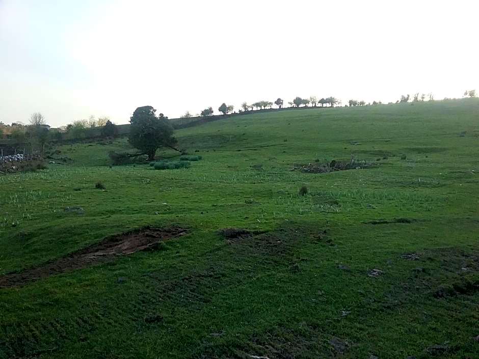 Rocksberry Bed & Breakfast