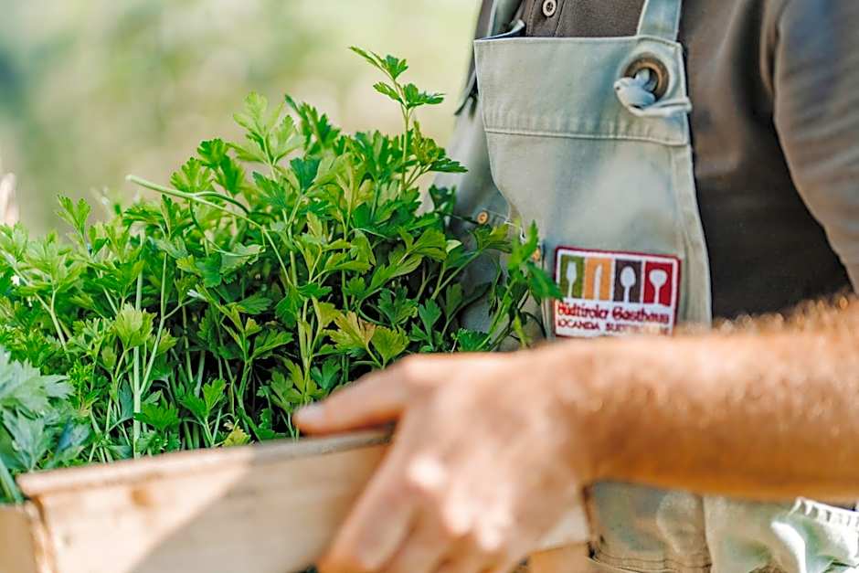 Hotel & Gasthof zum Hirschen