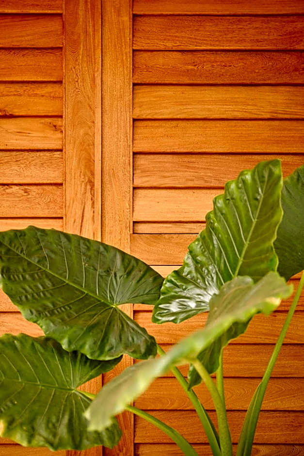 Punta Nayaá - Adults Only