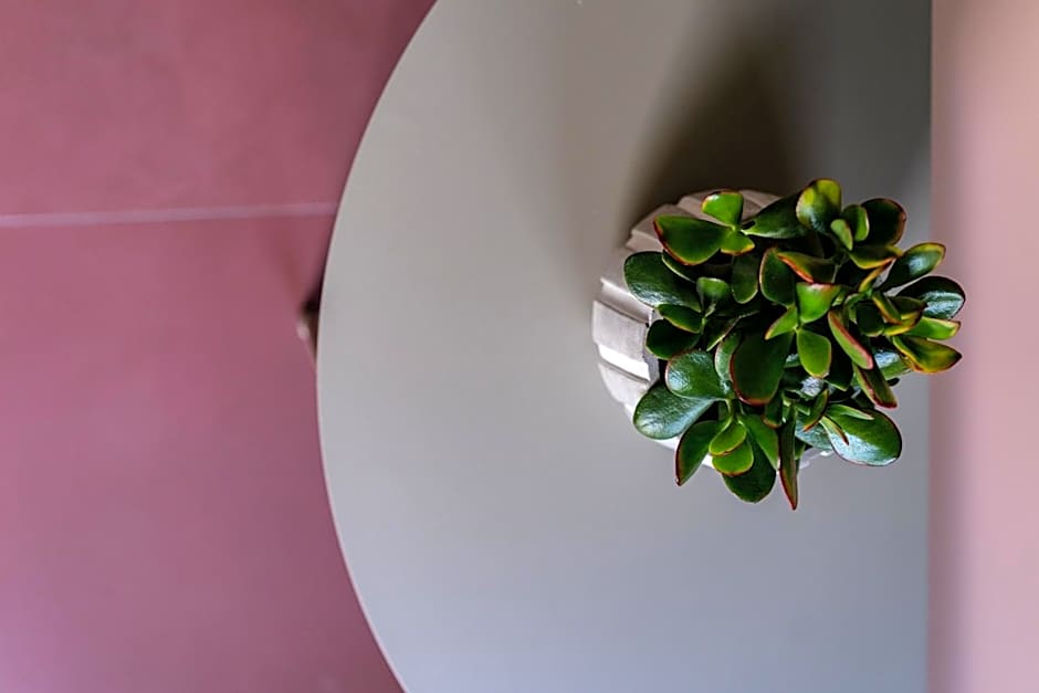 Alkima Athens Wellness Stay