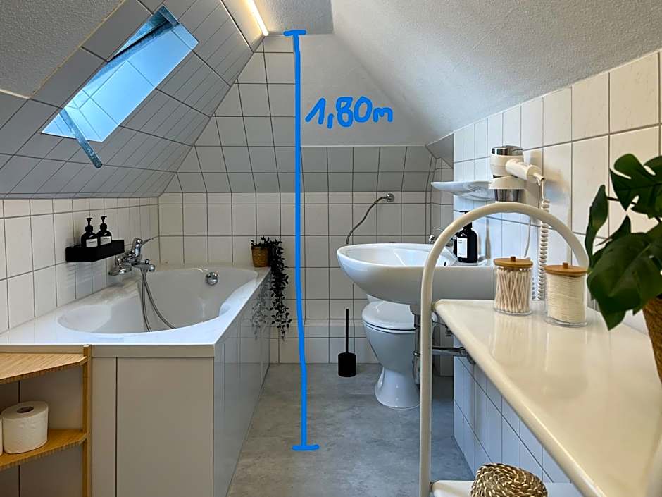 Schwarzwald Apartments im Haus Tanneck - Feldberg - Titisee