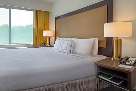 King Suite with Sofa Bed