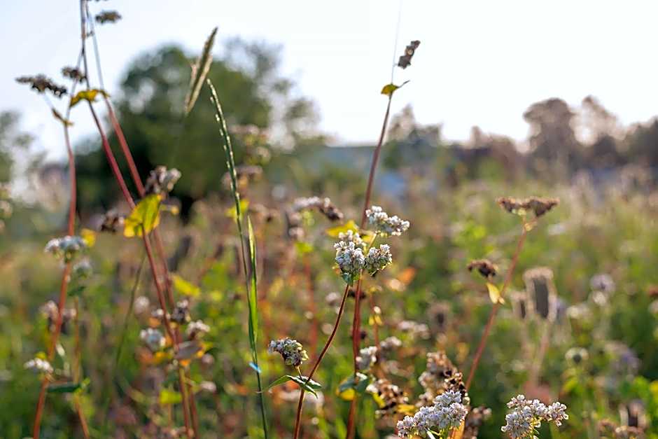 Domein Holset BruisendWijnHuis