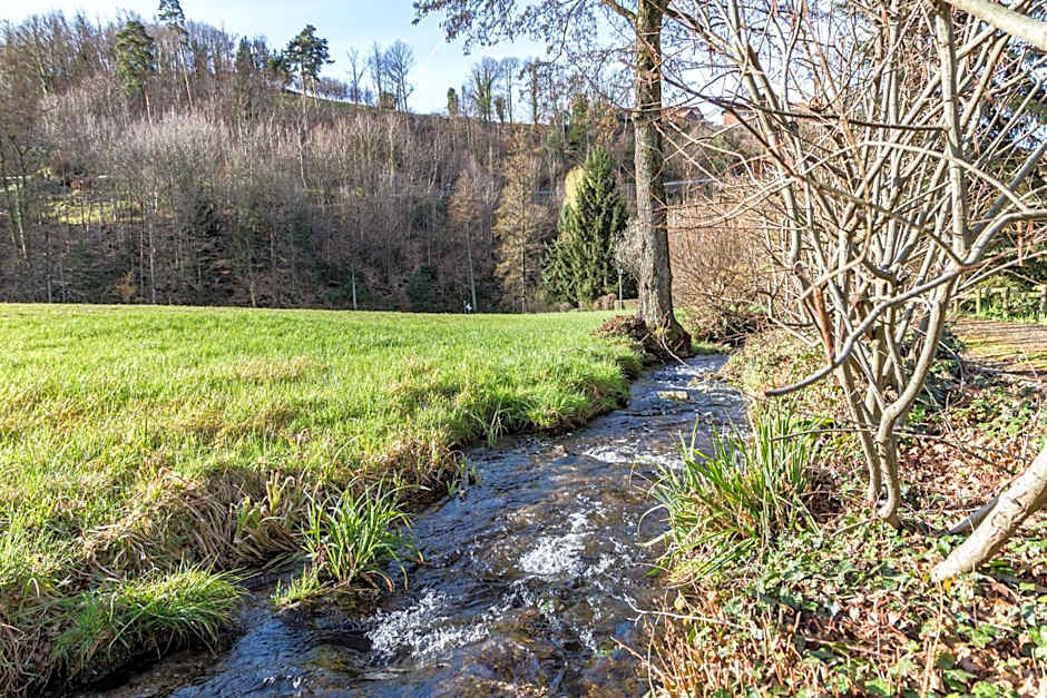 living TIMELESS - Adler Apartments Sasbachwalden