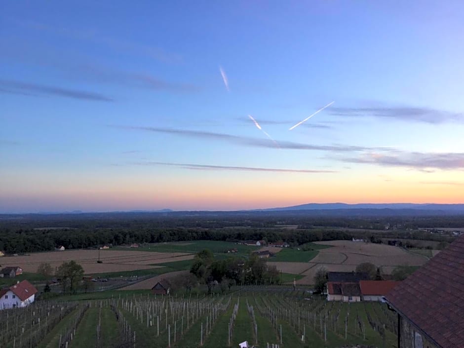 Weinberg Lodge - Kellerstöckl
