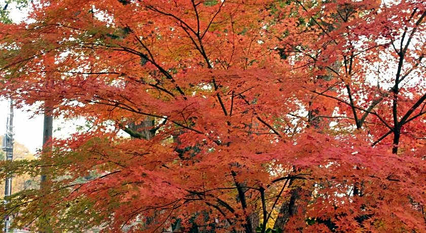 Hotel M's Est Shijo Karasuma