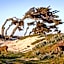 Home2 Suites by Hilton at the Dunes on Monterey Bay