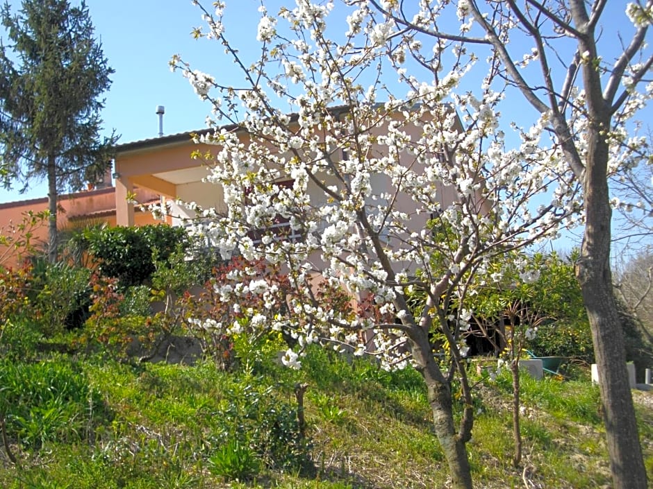 Il Rifugio dell'Ape Agriturismo