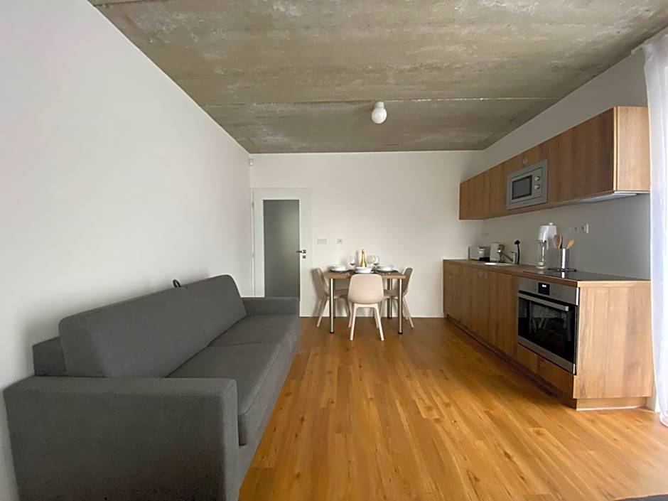 Apartmán pod sjezdovkou