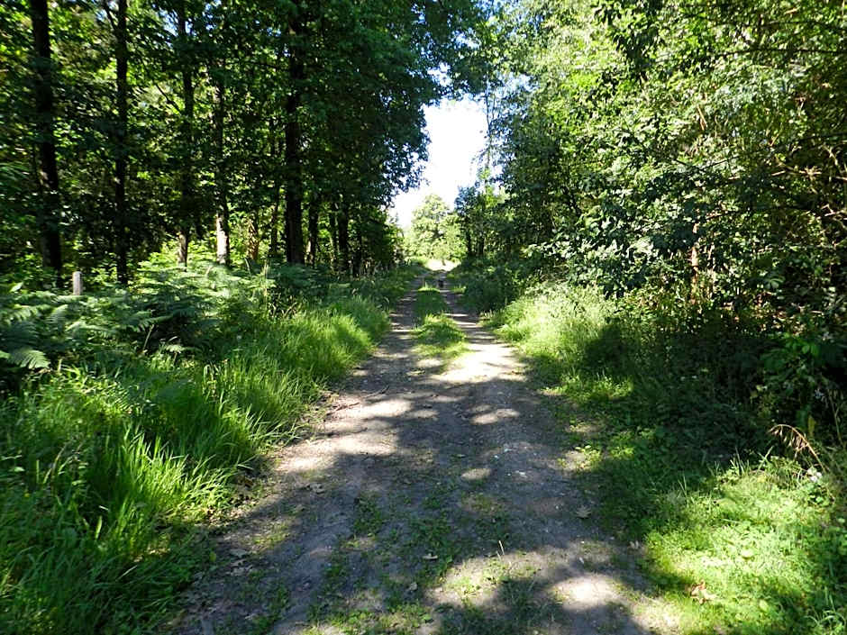 B&B Le Bois de Champia