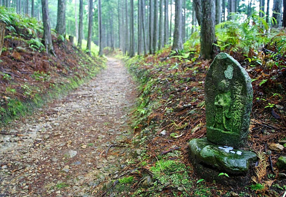 Ashita no Mori