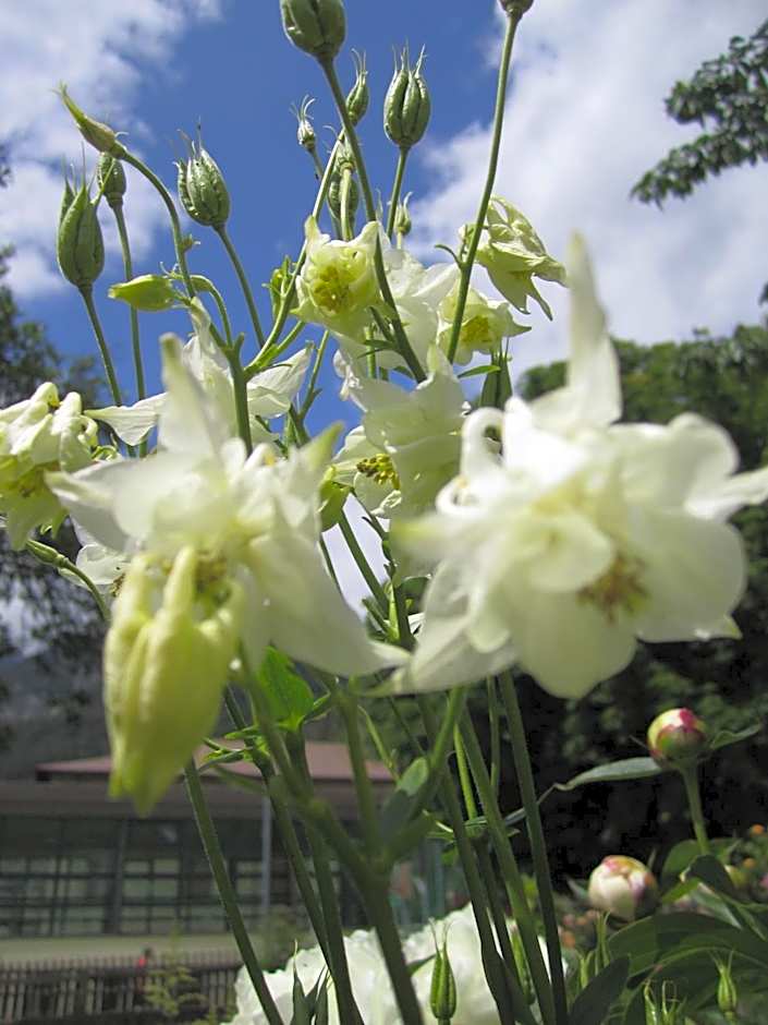 Residence Zum Theater