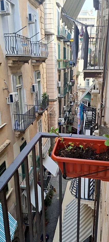 Napoli Blu Gardenia B&B