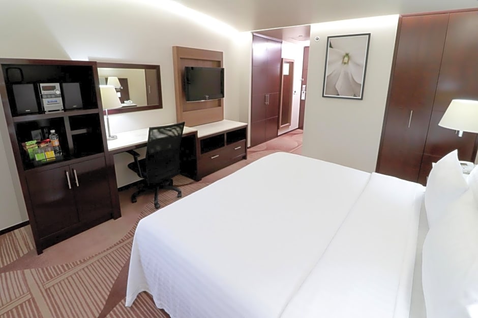Holiday Inn Hotel & Suites Mexico Medica Sur By IHG
