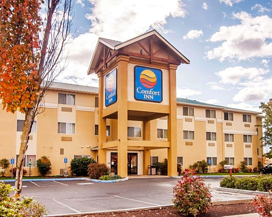 Comfort Inn South-Medford