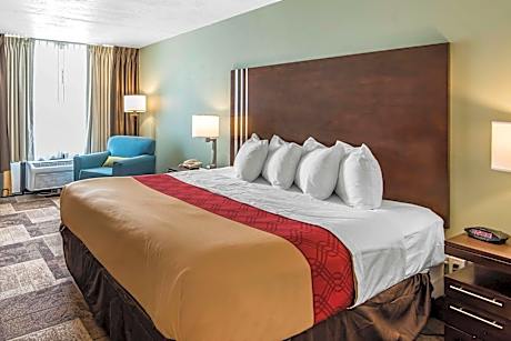 1 King Bed, Nonsmoking, Accessible