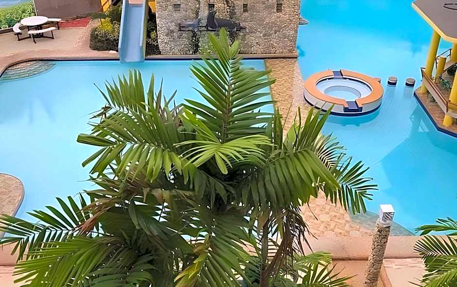 Moalboal Tropics
