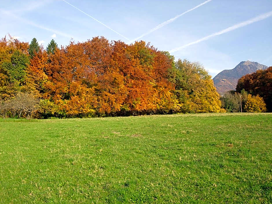 Le Domaine du Grand Cellier Chambres d'hôtes en Savoie