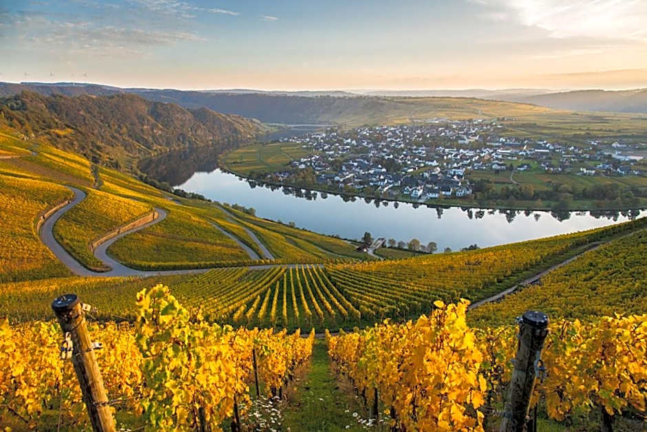 Hotel- Weingut- Moselloreley