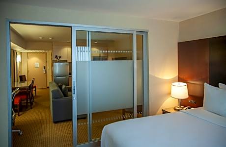 One-Bedroom King Suite