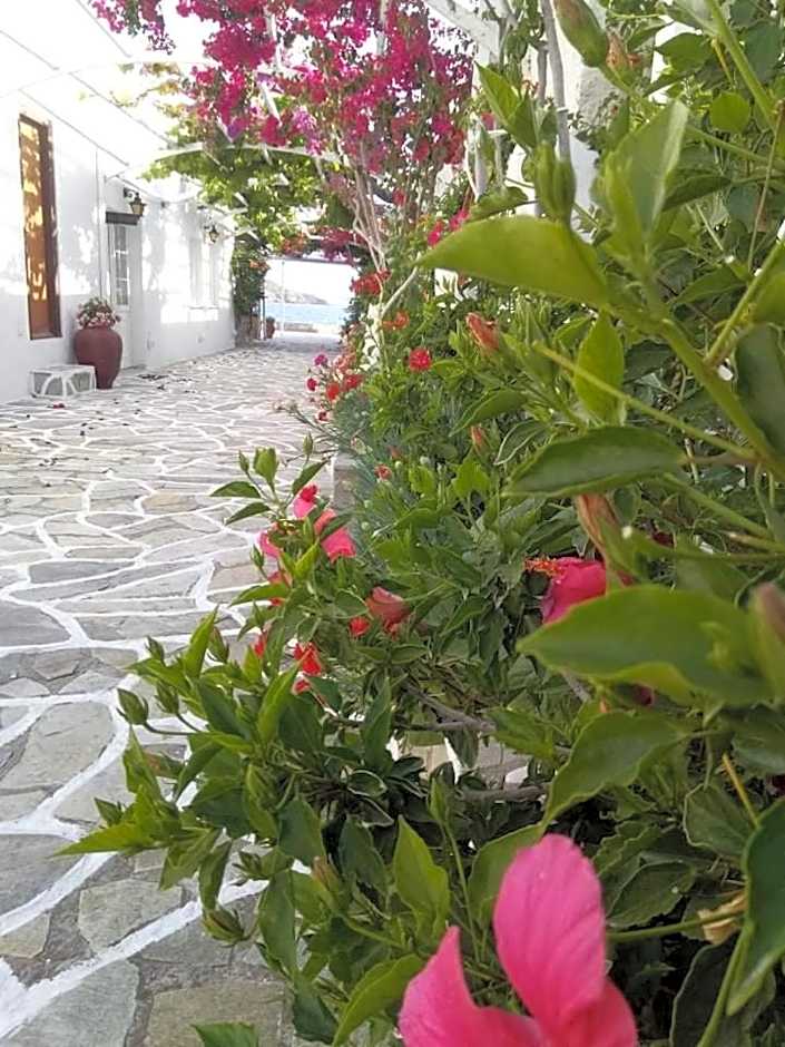 Mare Monte